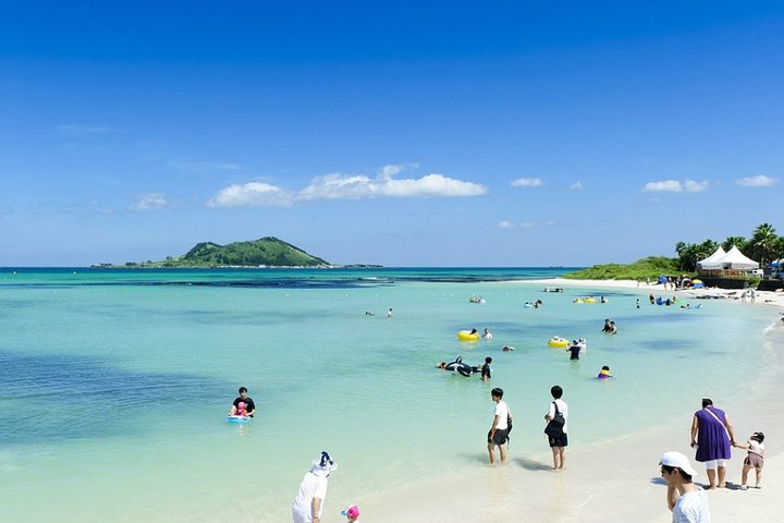 Full Day Essential Jeju Island Private tour for West Course