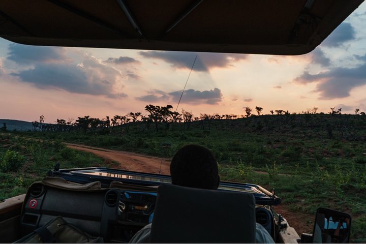 Durban: Big 5 Safari - Open Safari Vehicle at Exclusive Reserve