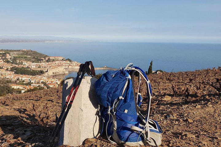 Walks in the heart of the secret vineyards around Collioure, tastings
