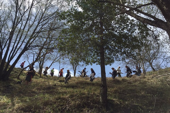 Hike Lake Castle and Good Food!