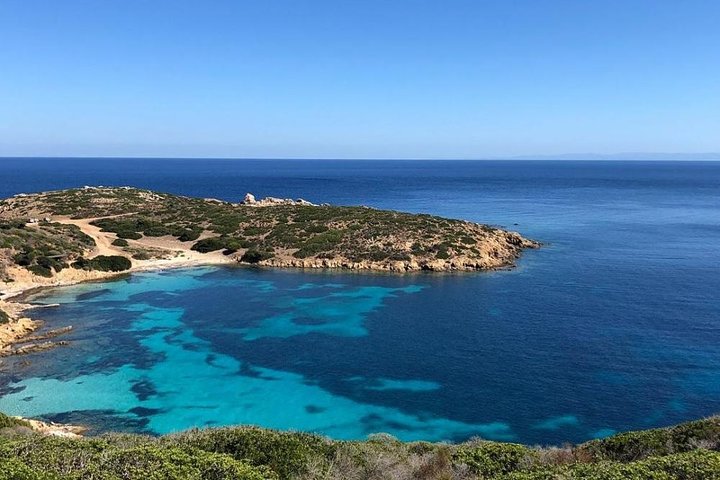 ASINARA ISLAND-TOUR full day Minivan in the National Park