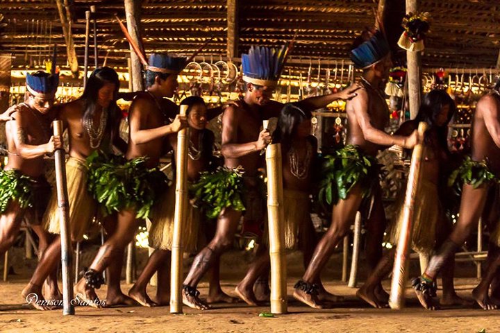 Amazon Experience: meet a native village and swim with porpoises