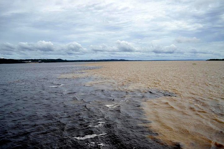 Amazon Experience: meet a native village and swim with porpoises