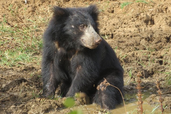 Yala National Park Safari Tour From Hambantota port