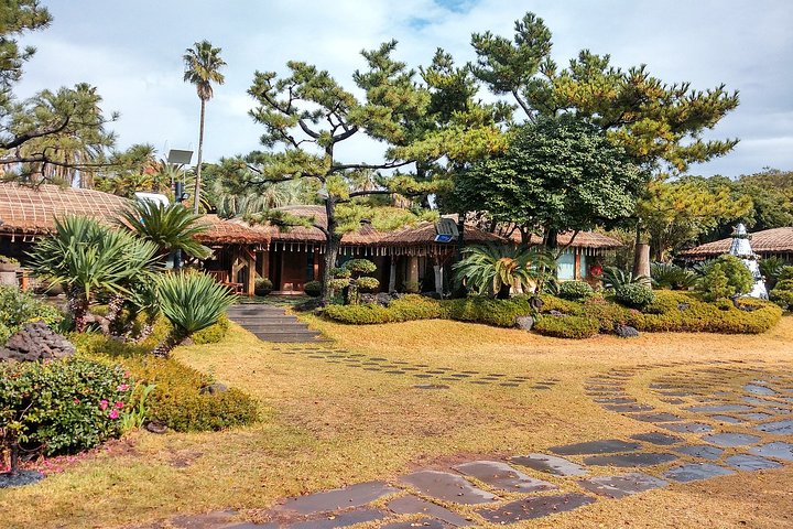 Full Day Customizable Jeju Private Tour with licensed tour guide