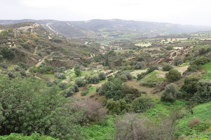 Troodos Mountains Halloumi Making: All Inclusive Workshop & Tour