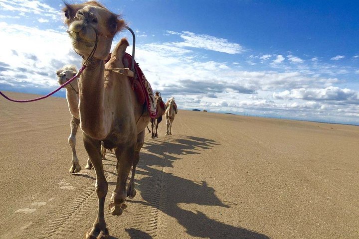 4-Day Private Tour of Dunhuang with Accommodation
