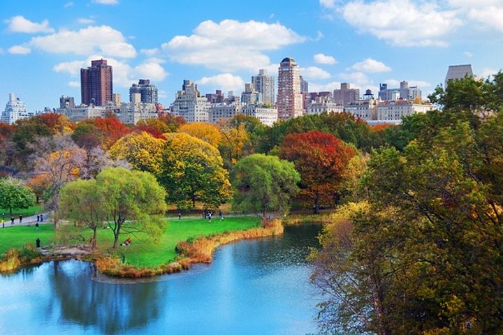 Private Central Park Walking Guided Tour