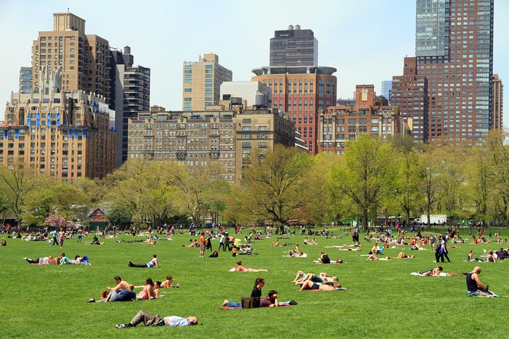 Private Central Park Walking Guided Tour
