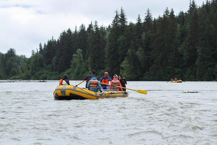 Half-Day Chilkat Bald Eagle Preserve Float Tour