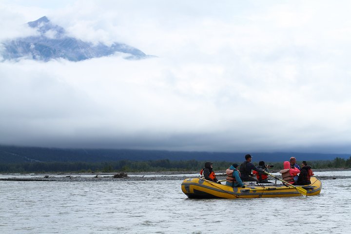 Half-Day Chilkat Bald Eagle Preserve Float Tour