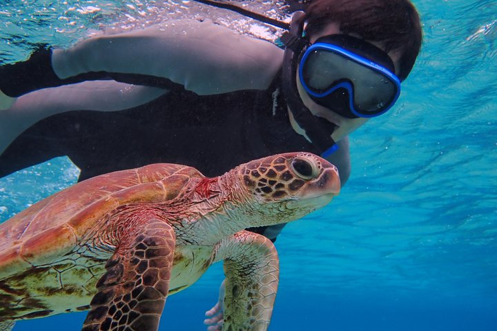Okinawa Miyako Half Day SUP Canoe and Sea Turtle Snorkel