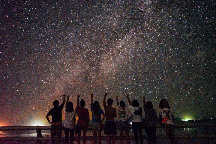 Okinawa Miyako Starry Night Jungle and Wildlife Tour with Pick Up