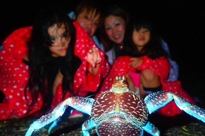 Okinawa Miyako Starry Night Jungle and Wildlife Tour with Pick Up