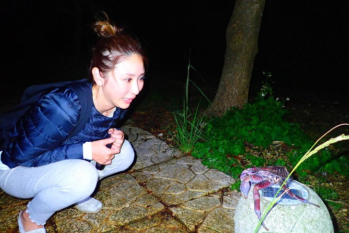 Okinawa Miyako Starry Night Jungle and Wildlife Tour with Pick Up