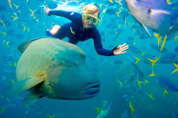 Fly Raft Package: Whitehaven Beach, Snorkel and Scenic Flight
