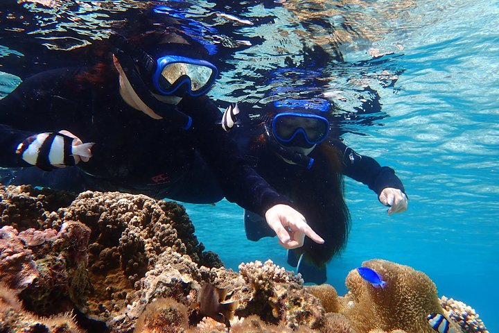 Okinawa Miyako Full Day Sea Turtle Snorkel and SUP or Canoe