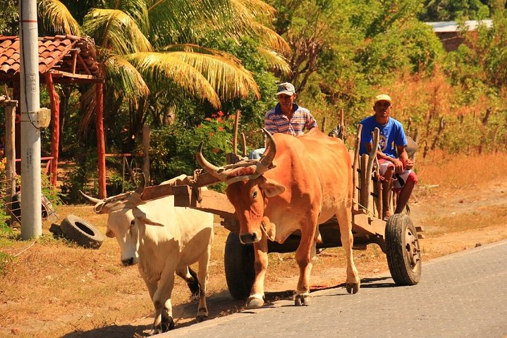 Half-Day Nature expedition at Ometepe Island