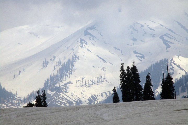 Gulmarg Adventure: A Thrilling Day Trip from Srinagar