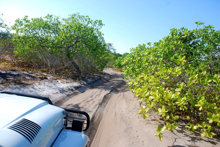 Lençóis Maranhenses Sand Dunes Half-Day Tour with Sunset