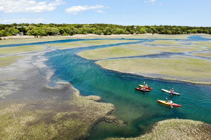 Kayak The Creek Nature Tour