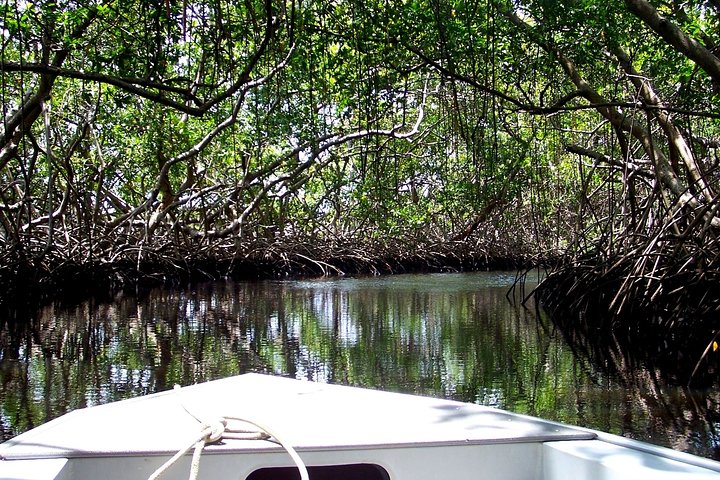Full Day Tour through Preguiças River by Speedboat