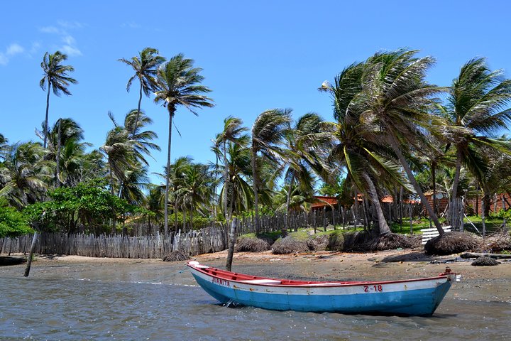 Full Day Tour through Preguiças River by Speedboat