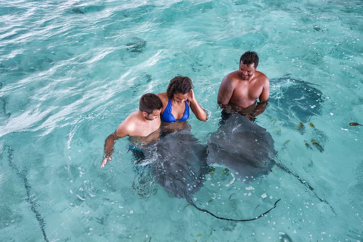 Bora Bora Eco Snorkel Cruise Including Snorkeling with Sharks and Stingrays