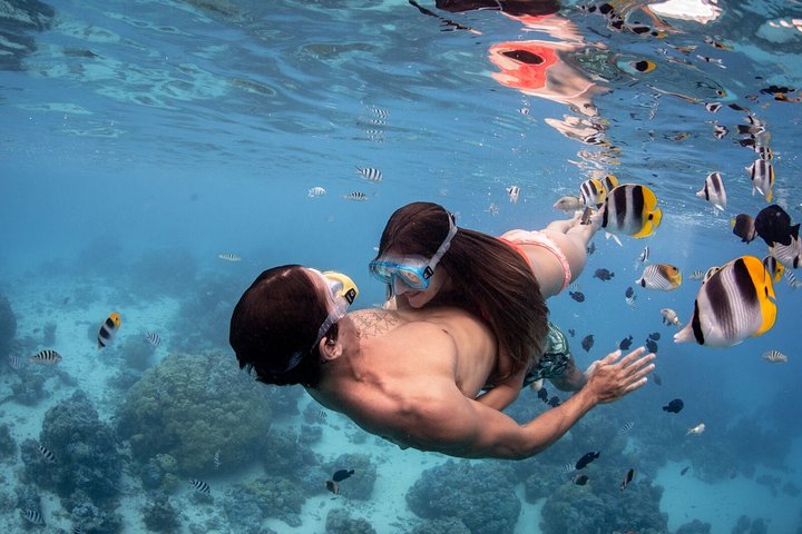 Bora Bora Eco Snorkel Cruise Including Snorkeling with Sharks and Stingrays