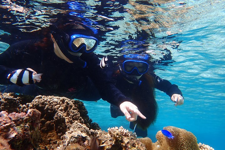 Okinawa Miyako Ultimate Day Trip SUP Snorkel Cave and Canoe