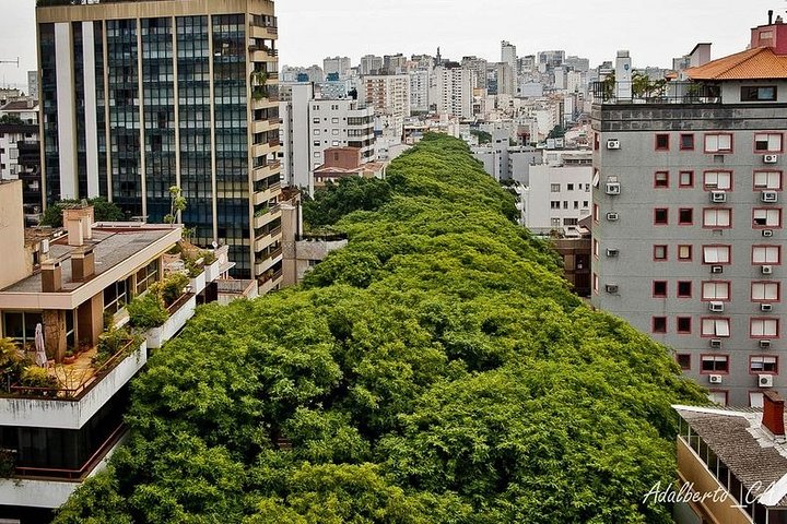 Private Tour in Porto Alegre-RS