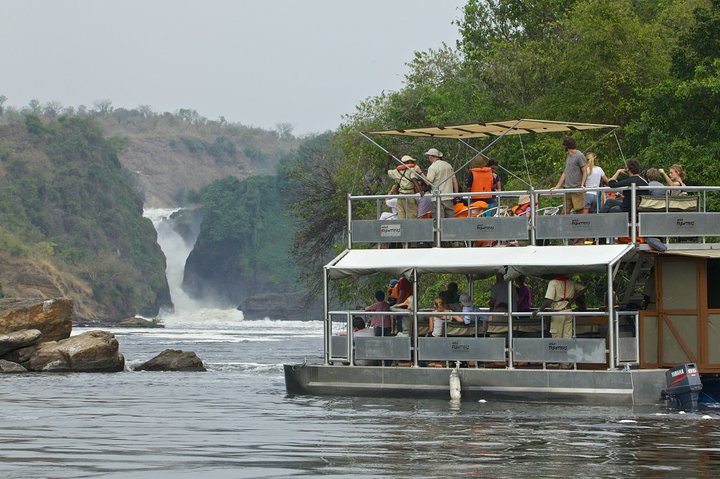 Murchison Falls Day Safari (Game Drive & Falls)