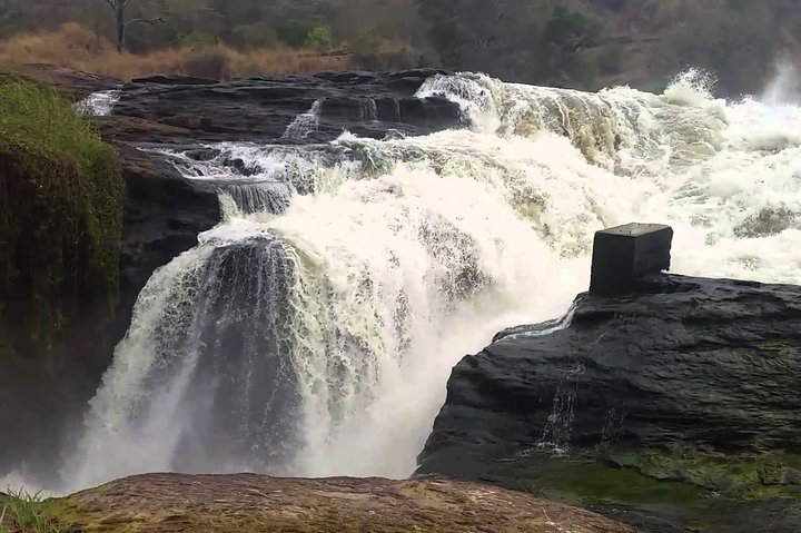 Guided Safari to Murchison Falls from Masindi