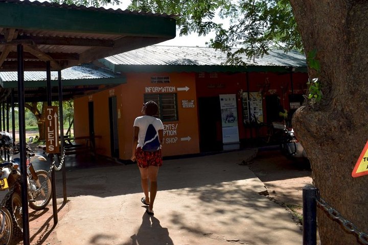 Ziwa Rhino Walking Safari Experience