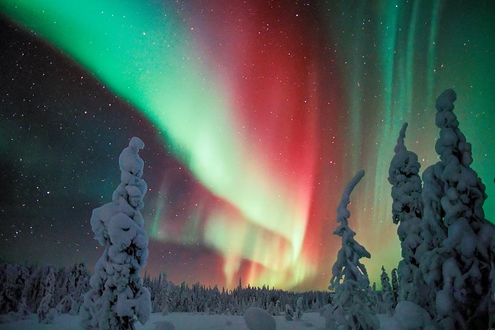 Auroras Northern Lights Viewing & Photographing - Saariselkä