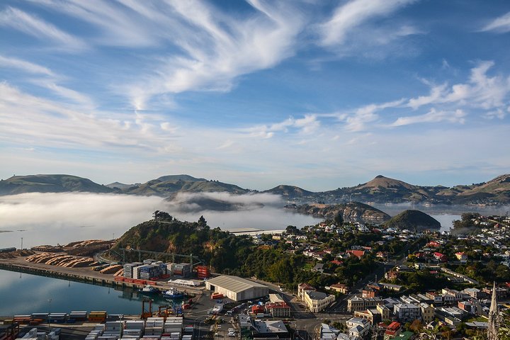 Iconic Shore Excursion: Dunedin City Highlights Tour