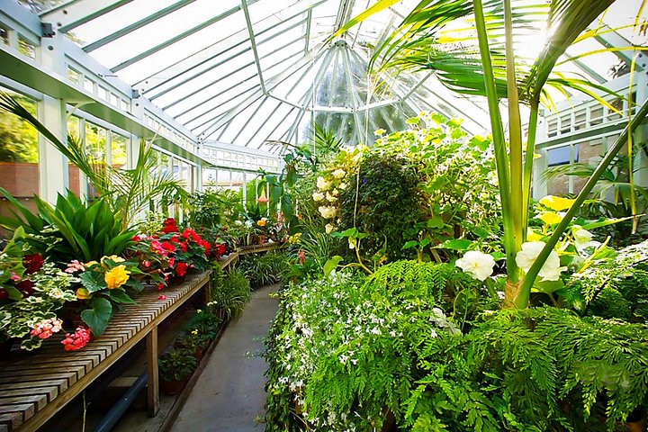 Iconic Shore Excursion: Dunedin City Highlights Tour