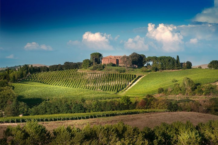 Montalcino: Brunello Wine Tasting & Lunch in a Tuscan Castle