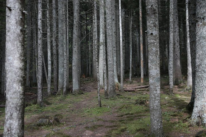 North Montenegro, Durmitor, Tara & Ostrog Tour