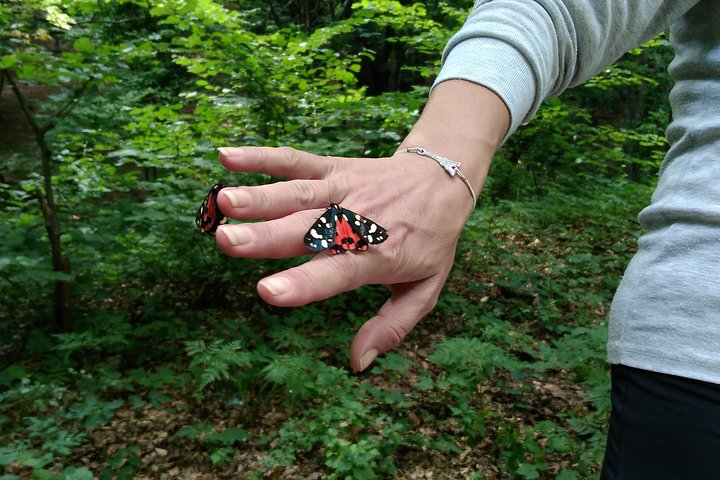 Private Blue Stones Nature Park & Wine Tasting Day Trip from Sliven
