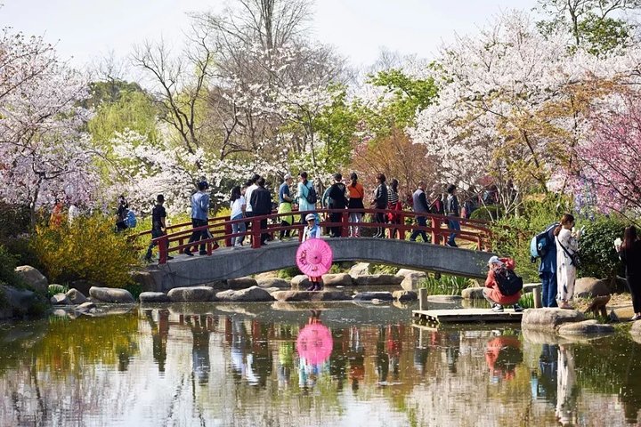 Wuxi Lingshan Buddhist Scenic Spot and Tai Lake Private Tour
