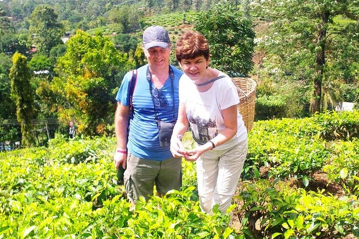 Fabulous 6 Days in Sri Lanka by Mahaweli from Colombo