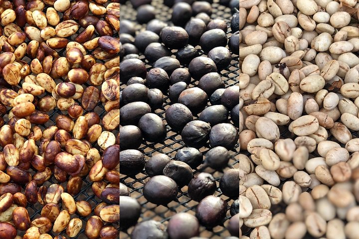 Coffee Farm and Salento Walking Tour