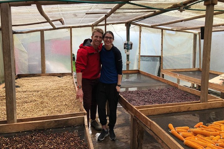 Coffee Farm and Salento Walking Tour