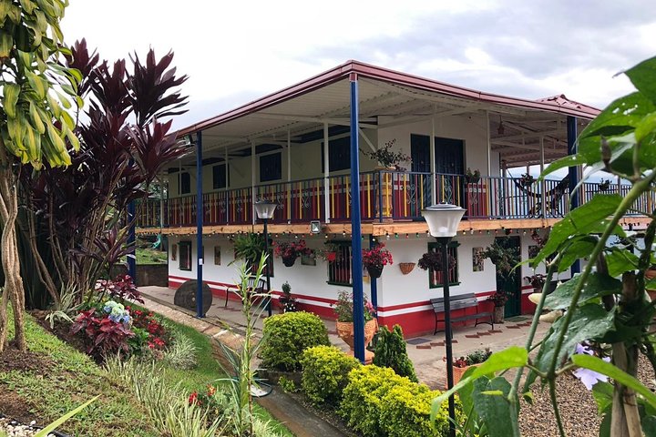 Coffee Farm and Salento Walking Tour