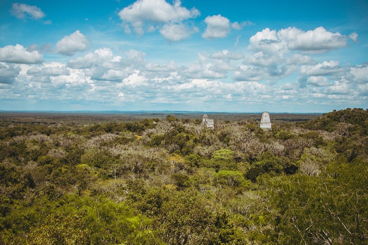 Tikal National Park Full-Day Guided Tour from Flores