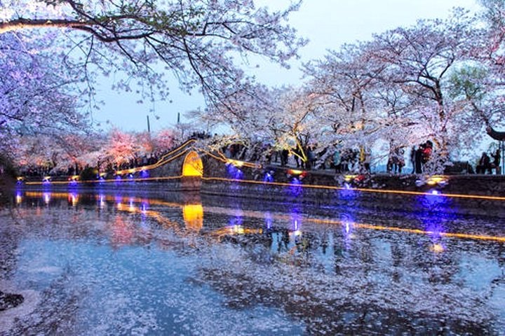 Wuxi Private Day Tour with Lingshan Buddhist Scenic Spot and Taihu Yuantouzhu