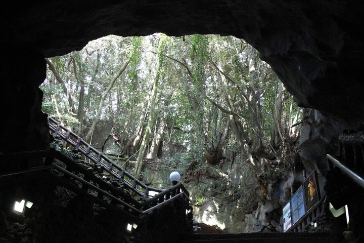 Full Day Customizable Jeju Private Tour with licensed tour guide