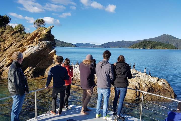 Marlborough Sounds Ultimate Cruise
