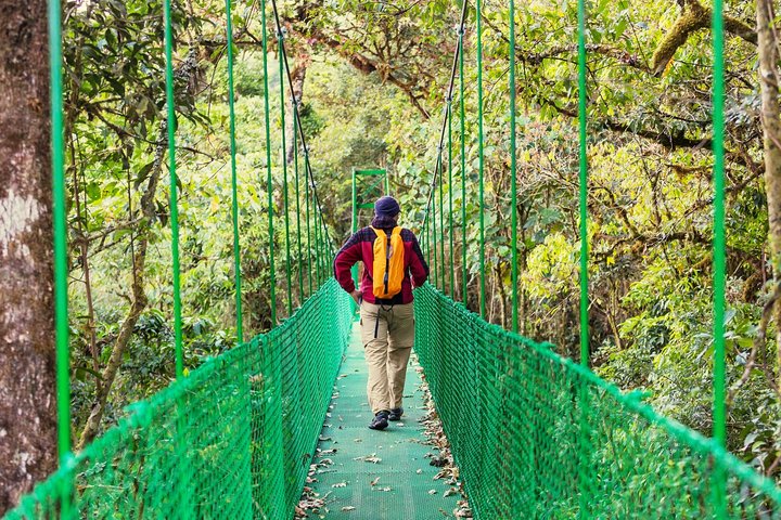Puntarenas Shore Excursion: Rainforest Skywalk & Tarcoles River